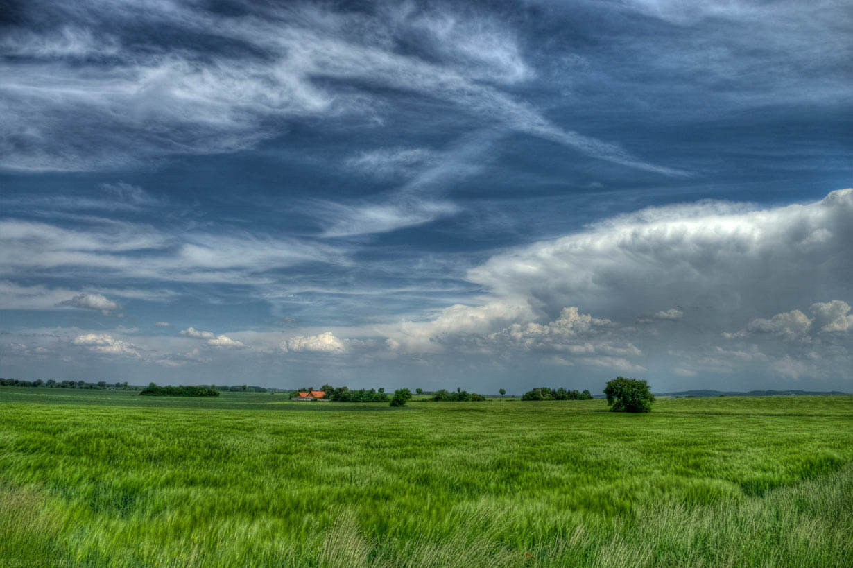 Blauer Himmel grünes Feld HDR 218 Blauer Himmel grünes Feld HDR