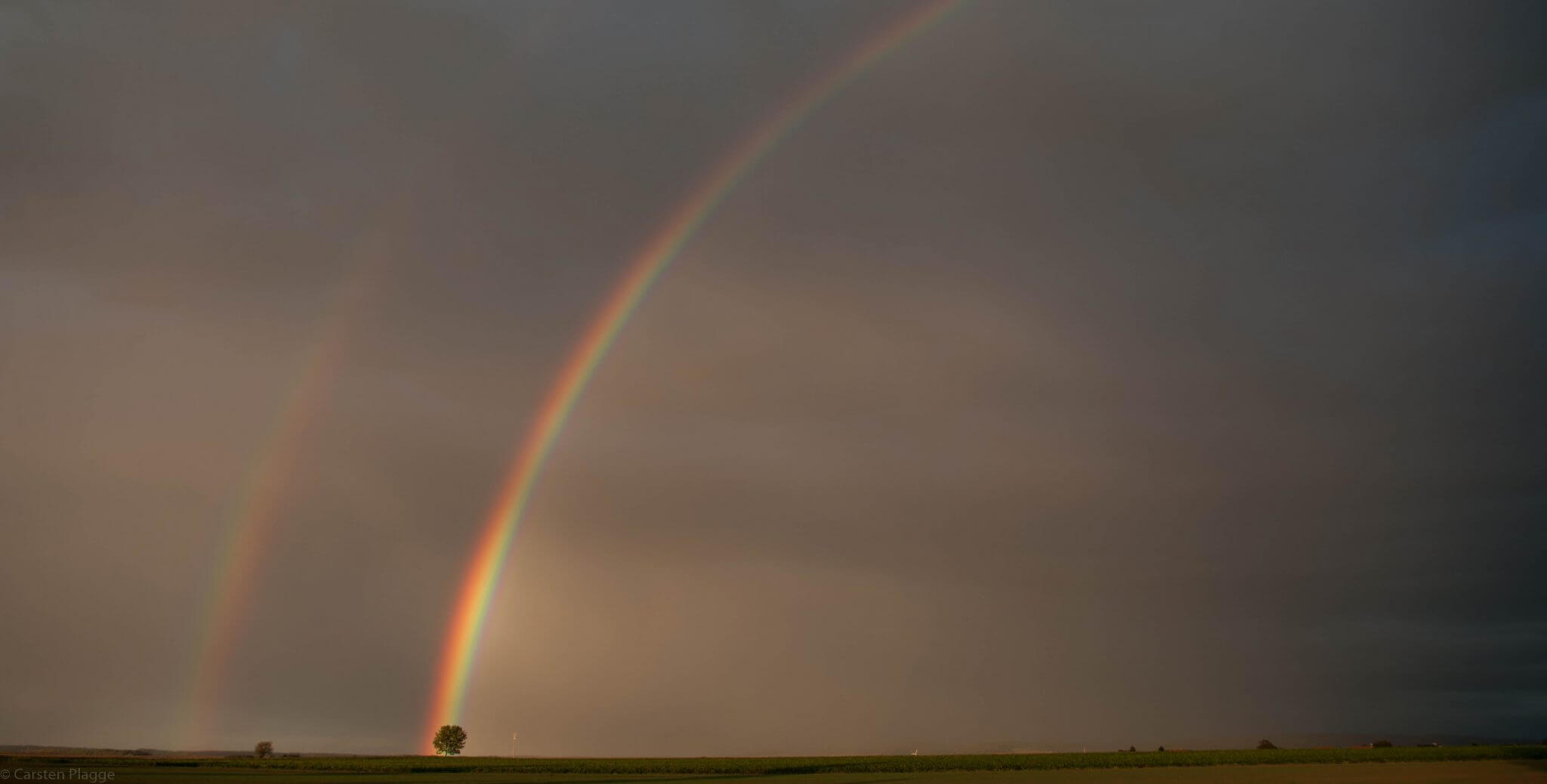 Regenbogen trifft Baum 213 Regenbogen trifft Baum