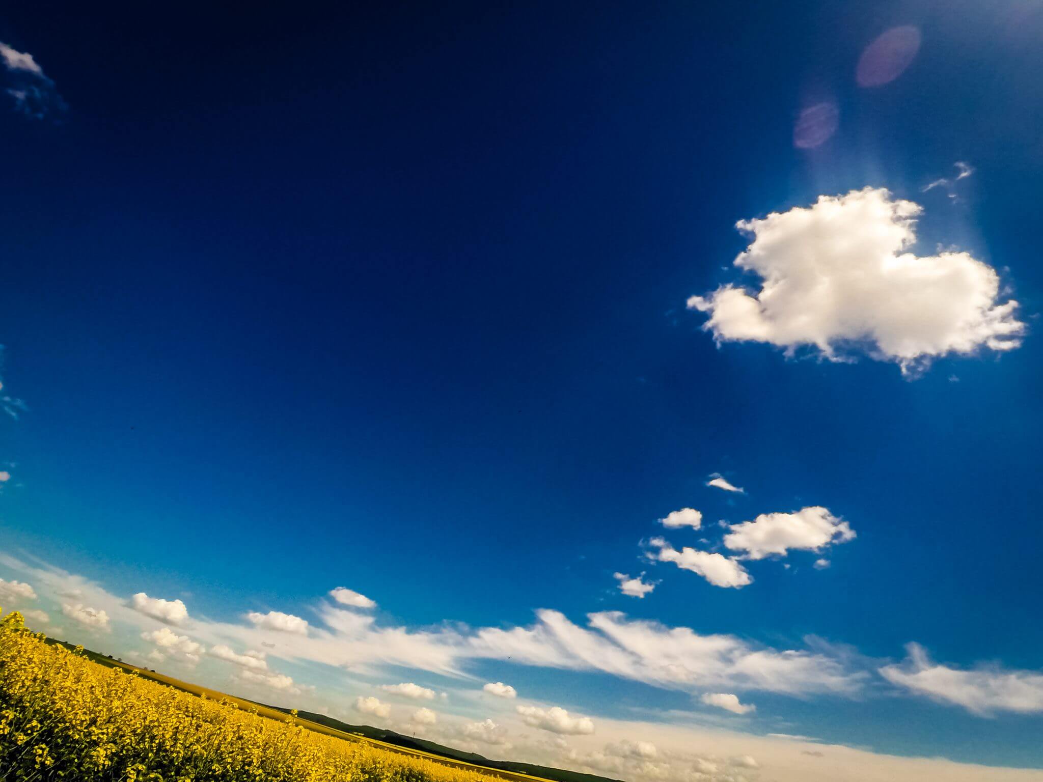 Blauer Himmel gelbes Feld 219 Blauer Himmel gelbes Feld