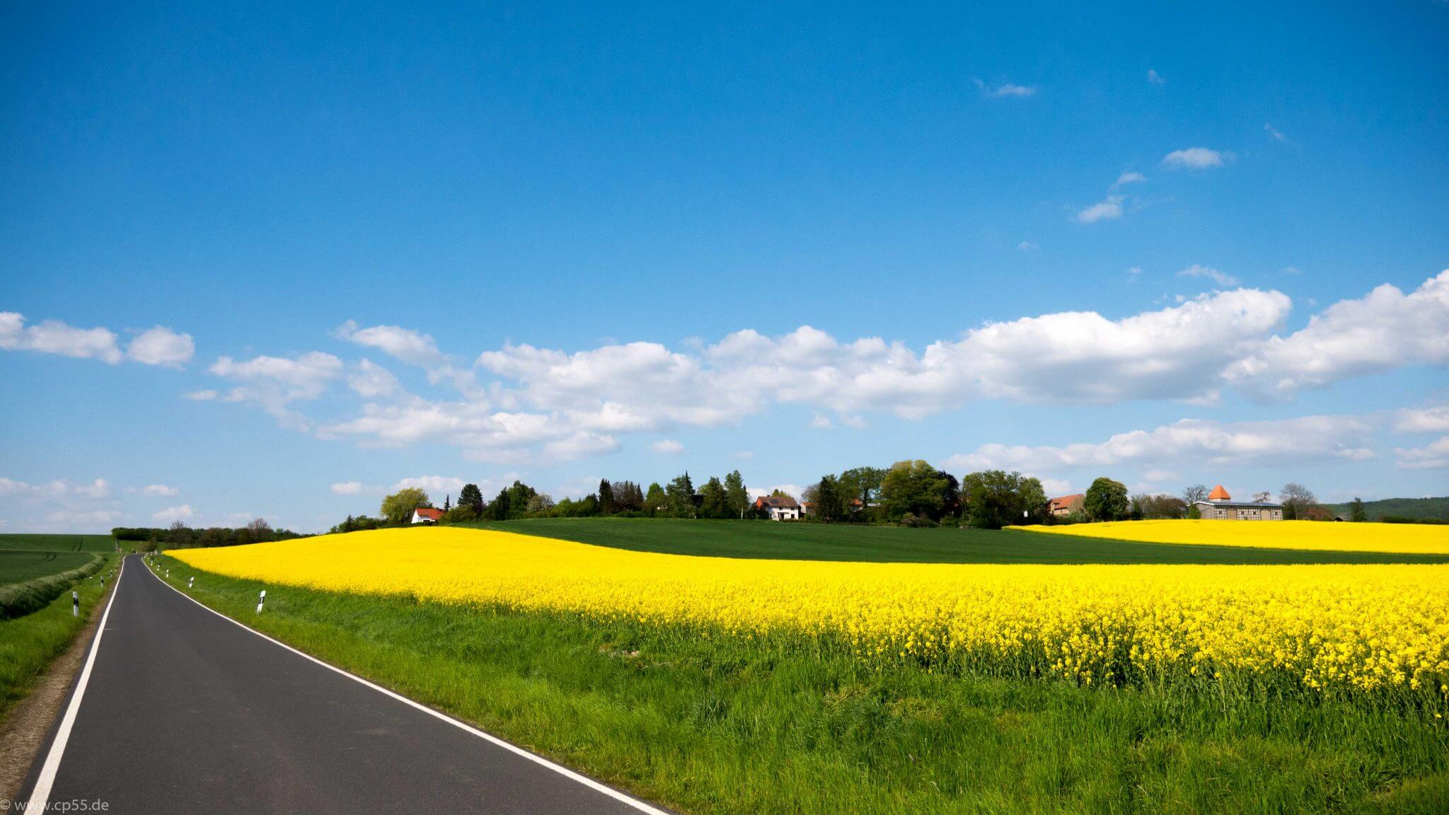 der Weg zum Ziel 256 Weg zum Ziel