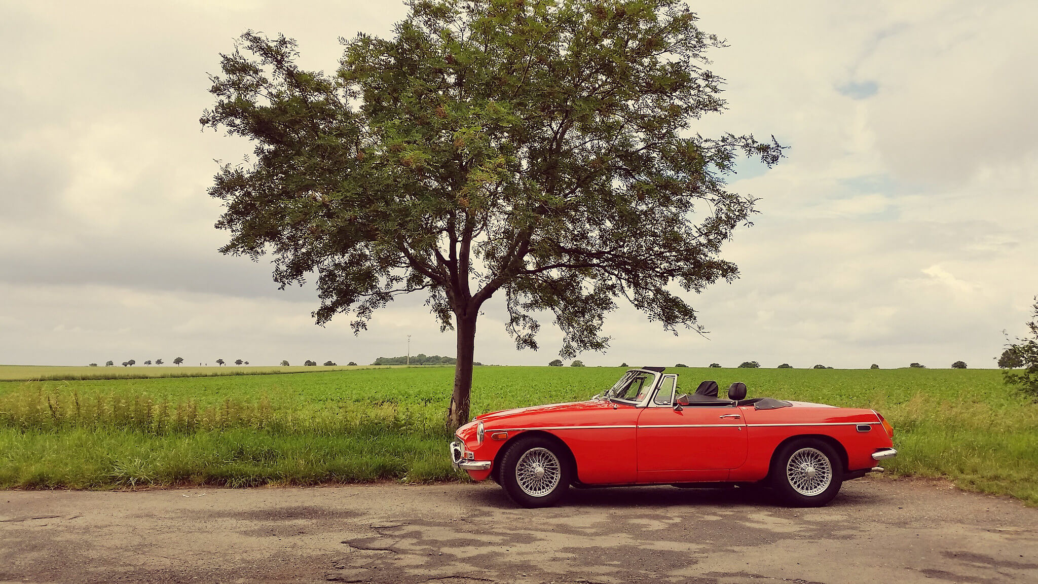 Pause 254 roter MGB vor einem Baum