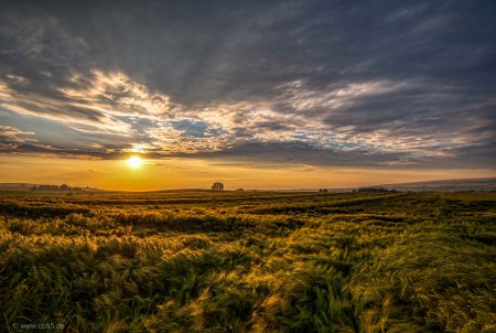 Die Ruhe nach dem Regen 111 Die Ruhe nach dem Regen