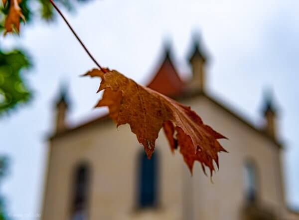 Derneburg - Herbst 383 Herbst - Schloß Derneburg