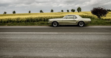 summer is coming 80 summer Mustang