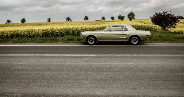 summer is coming 352 summer Mustang