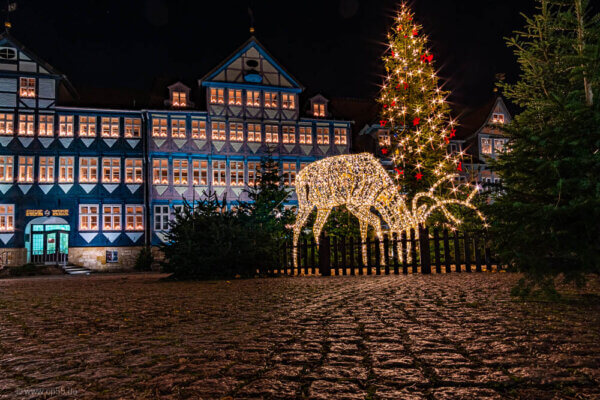 Stadtmarkt zu Corona-Zeiten 325 Rathaus Wolfenbüttel Elch