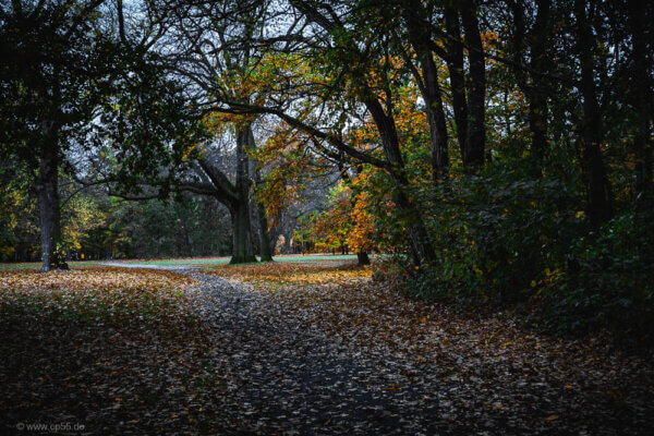 Prinzenpark - Herbst in Braunschweig 330 im Prinzenpark