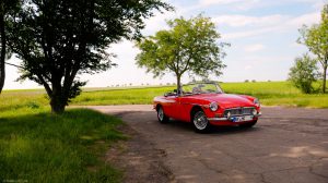 MGB unter Bäumen MGB unter Bäumen