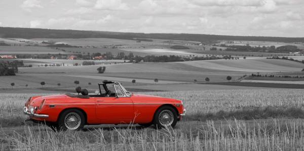 redblack 49 redblack MG Stoppelfeld