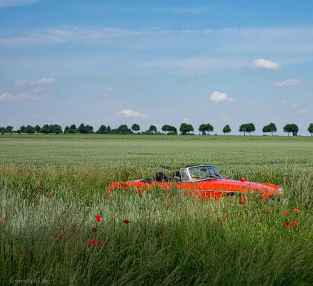 Ausfahrt 12 Rotes Auto im grünen Feld
