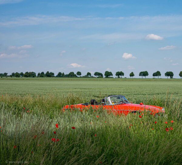 Rotes Auto im grünen Feld