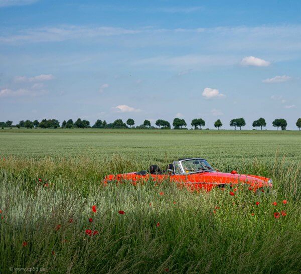 Ausfahrt 39 Rotes Auto im grünen Feld
