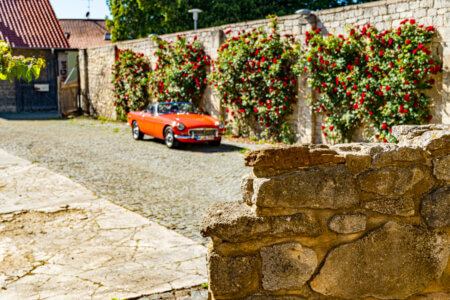 Rote Rosen am Rittergut Lucklum 3 MGB Rittergut Lucklum